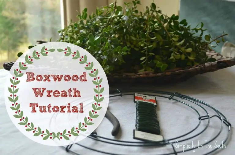 How to Make a Boxwood Wreath for $6 {A Tutorial}