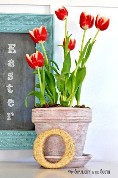 Tulips in an aged flower pot. Spring decor.