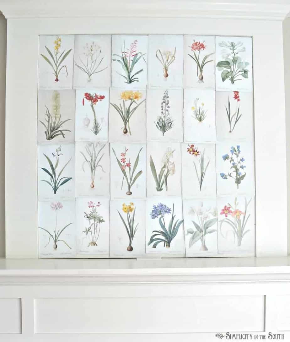 25 free vintage botanical illustrations to download and print. Such a simple way to decorate over the fireplace mantle for spring or summer.