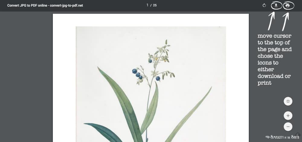move the cursor to the top of the page and chose the icons to either download or print the botanical art
